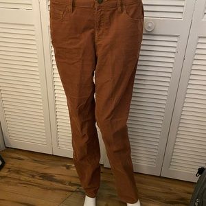 LOFT fine wale straight leg cords